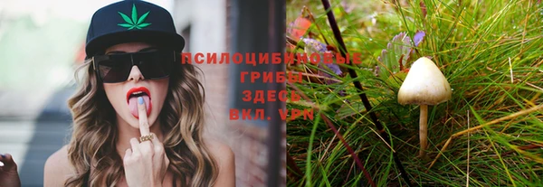MESCALINE Вязьма