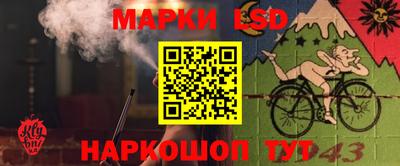 spice Будённовск