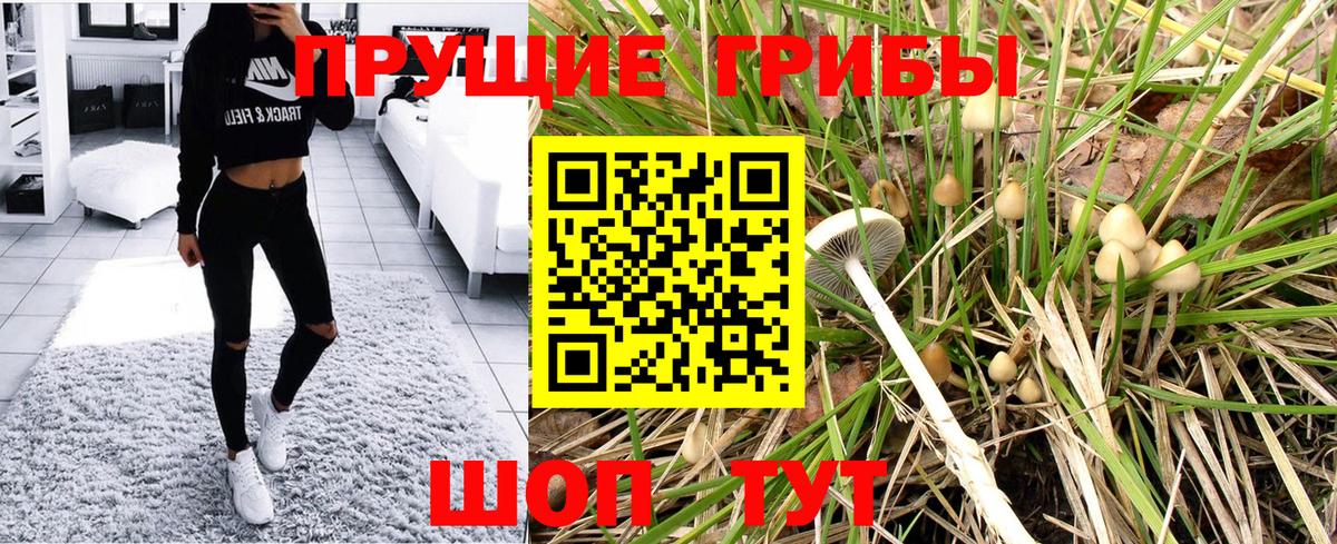 Псилоцибиновые грибы MAGIC MUSHROOMS  Псилоцибиновые грибы Psilocybine cubensis  Вход с VPN  Дзержинский 